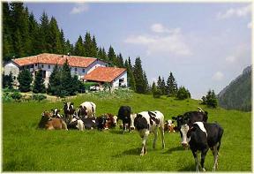 Featured image for “Provincia di Frosinone, arriva un bando per gli Agriturismi”