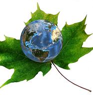 Featured image for “PMI e sostenibilità ambientale, energieambiente.org il portale per puntare al mercato internazionale”