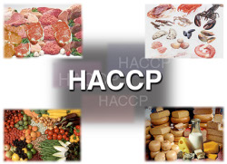 Featured image for “Corso addetti manipolazione degli alimenti (HACCP) – personale dipendente”